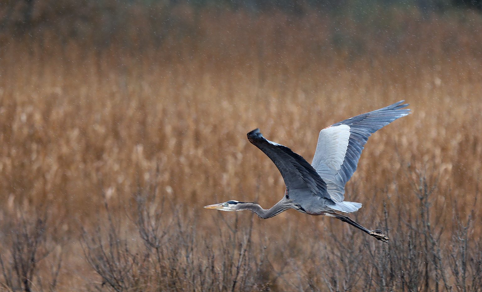 Where to Explore Nature Trails, Featuring Water, on the Middle ...