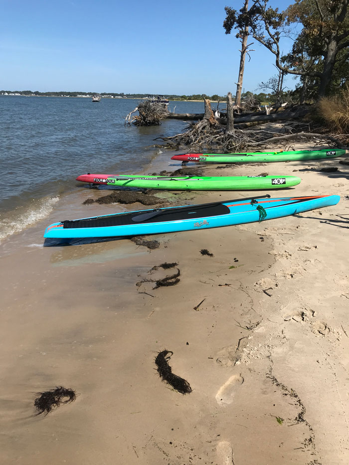 Paddleboards on the beach in Eastern Shore