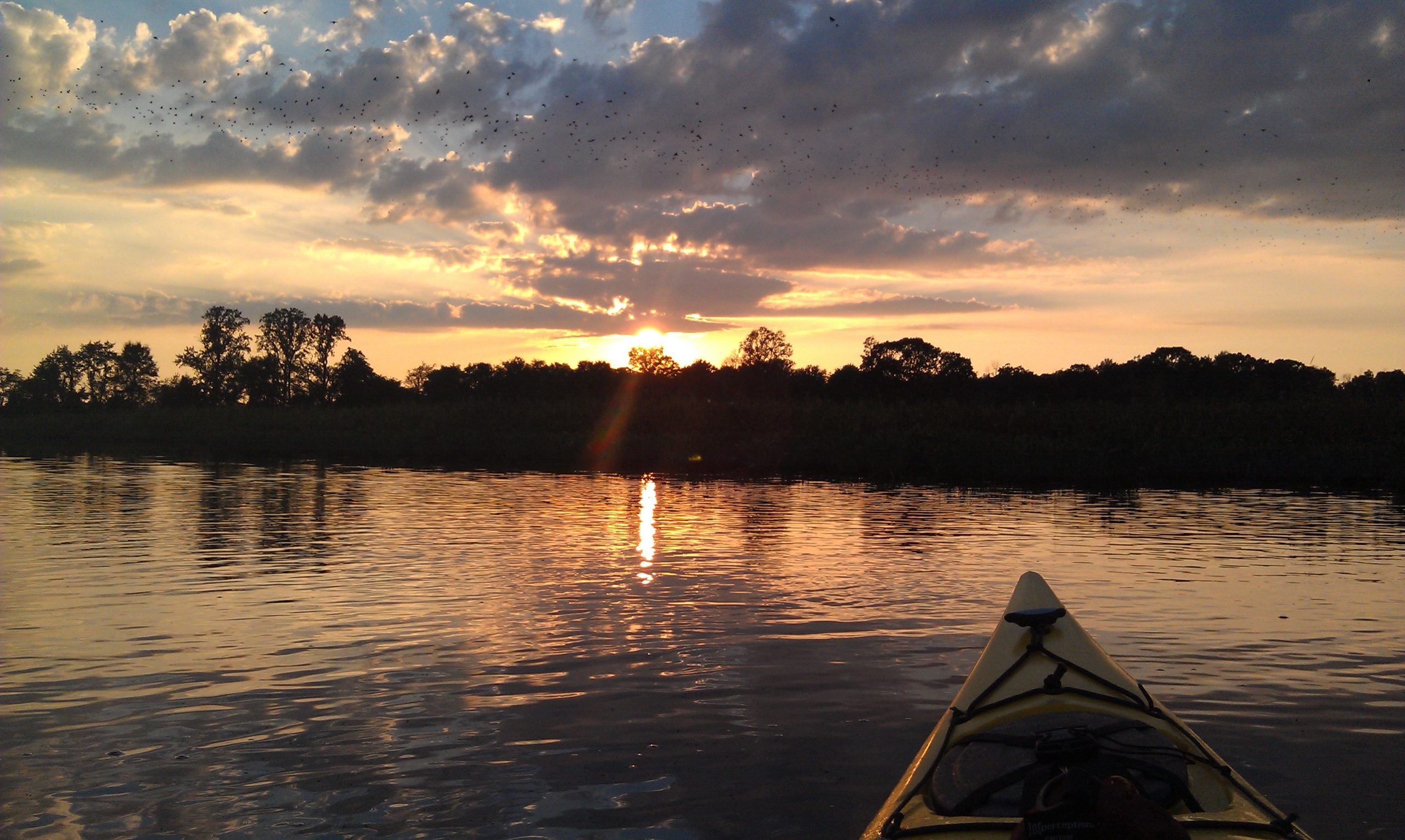 New Point Comfort  The Nature Conservancy in Virginia