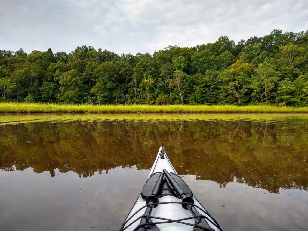 kayak bow in foreground, marsh grass and trees in background