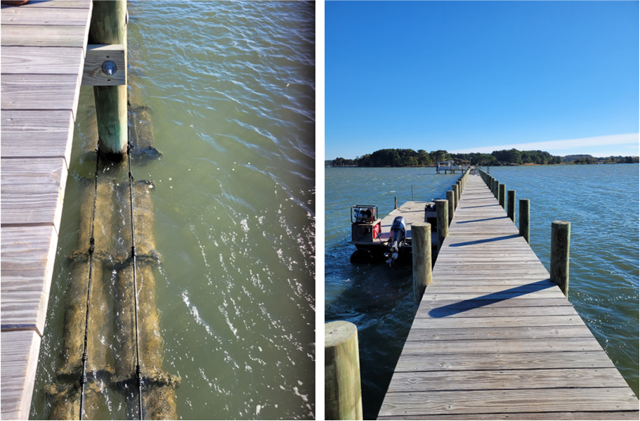 phot on left shows oyster cages hanging from a dock; phot on the right shows a long dock extending into the creek