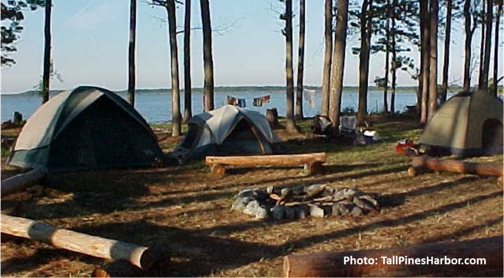 tents in a campsite with tall trees and open water in the background