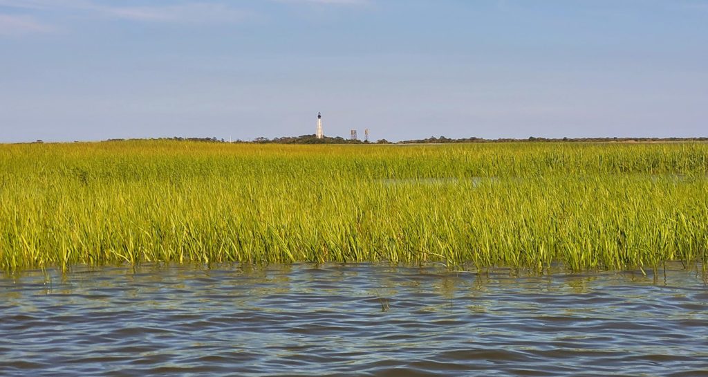 marsh grasses and water in the foreground with a lighthouse in the background on the horizon