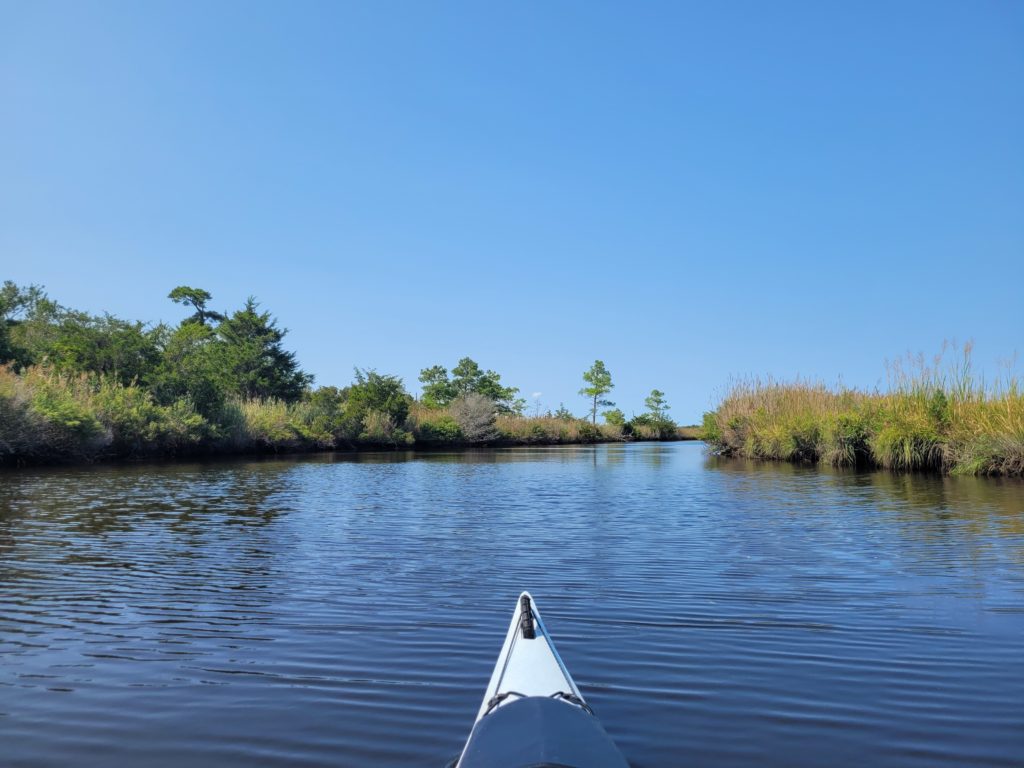 the bow of a kayak in the foreground and marsh grasses in the background with a few trees