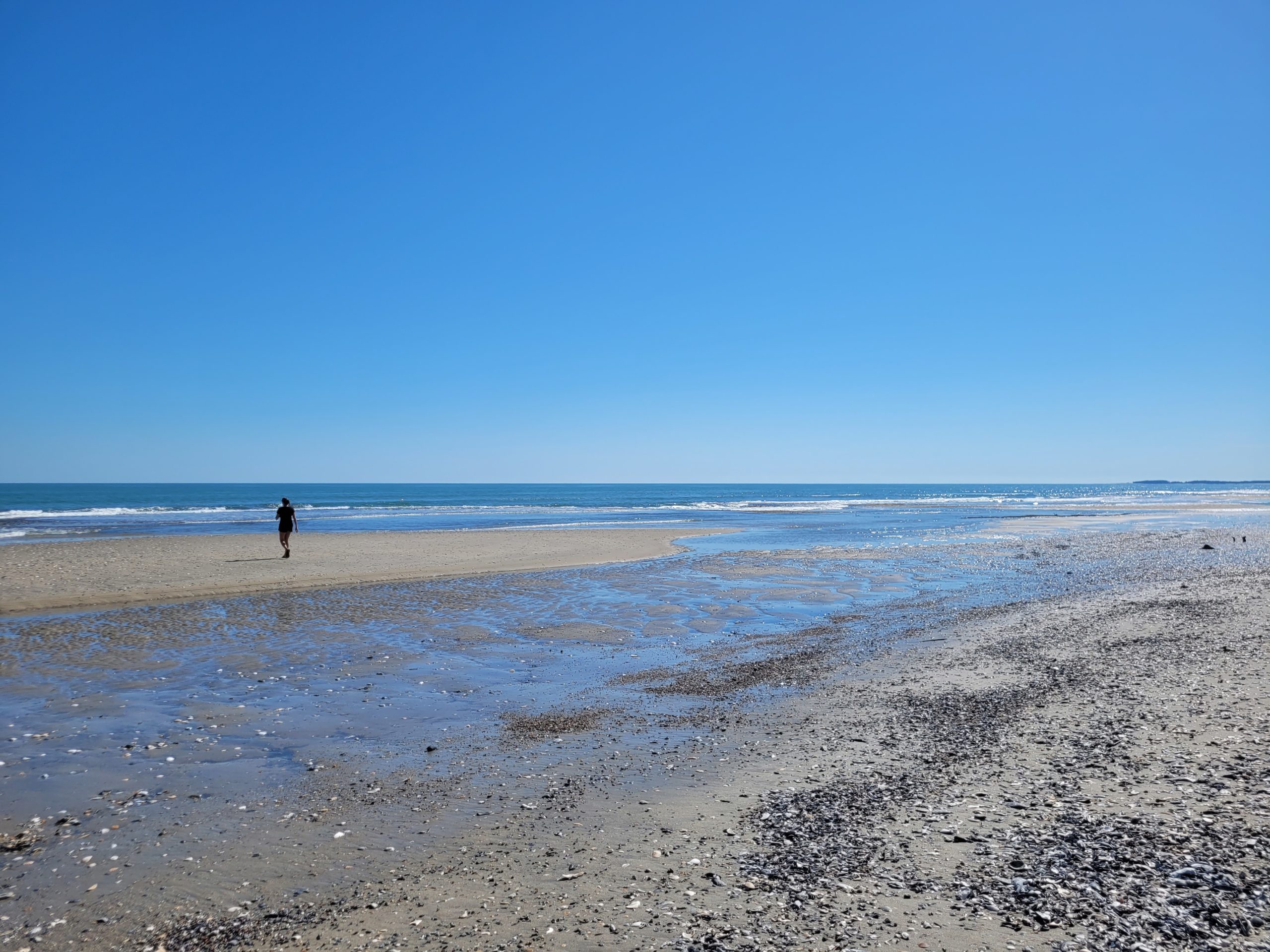 a woman in the distance walks on a deserted beach of Cedar Island Virginia