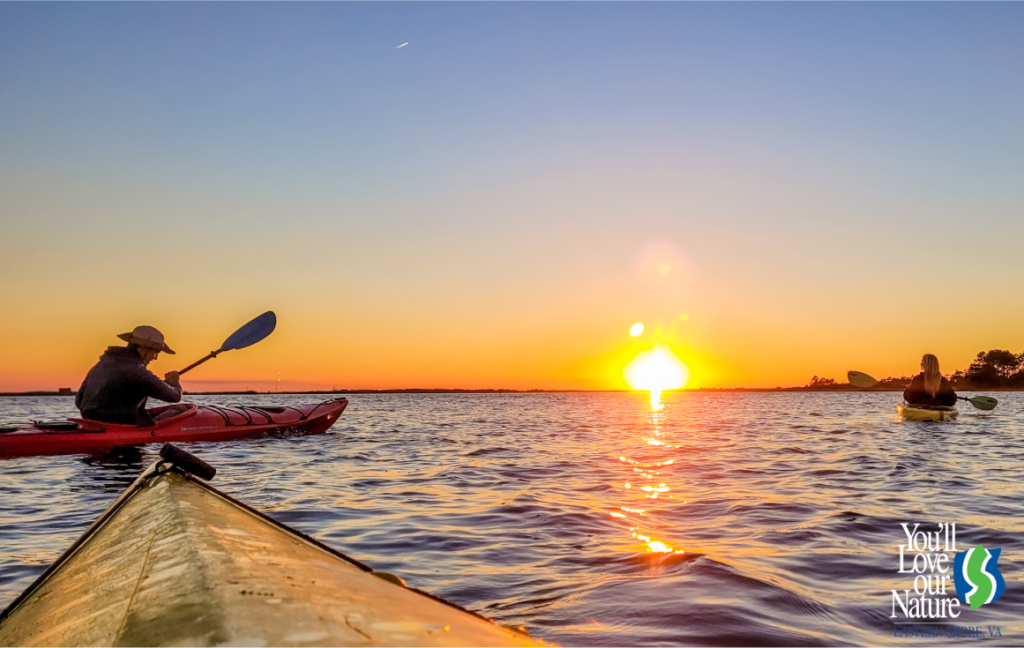 kayaks at sunset