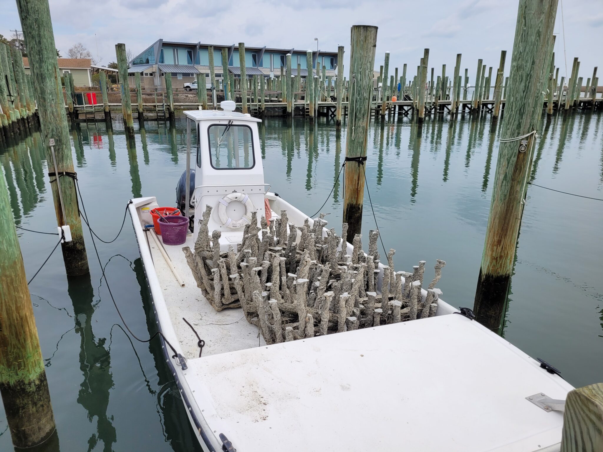 Building Oyster Reefs On The Eastern Shore - Virginia Water Trails