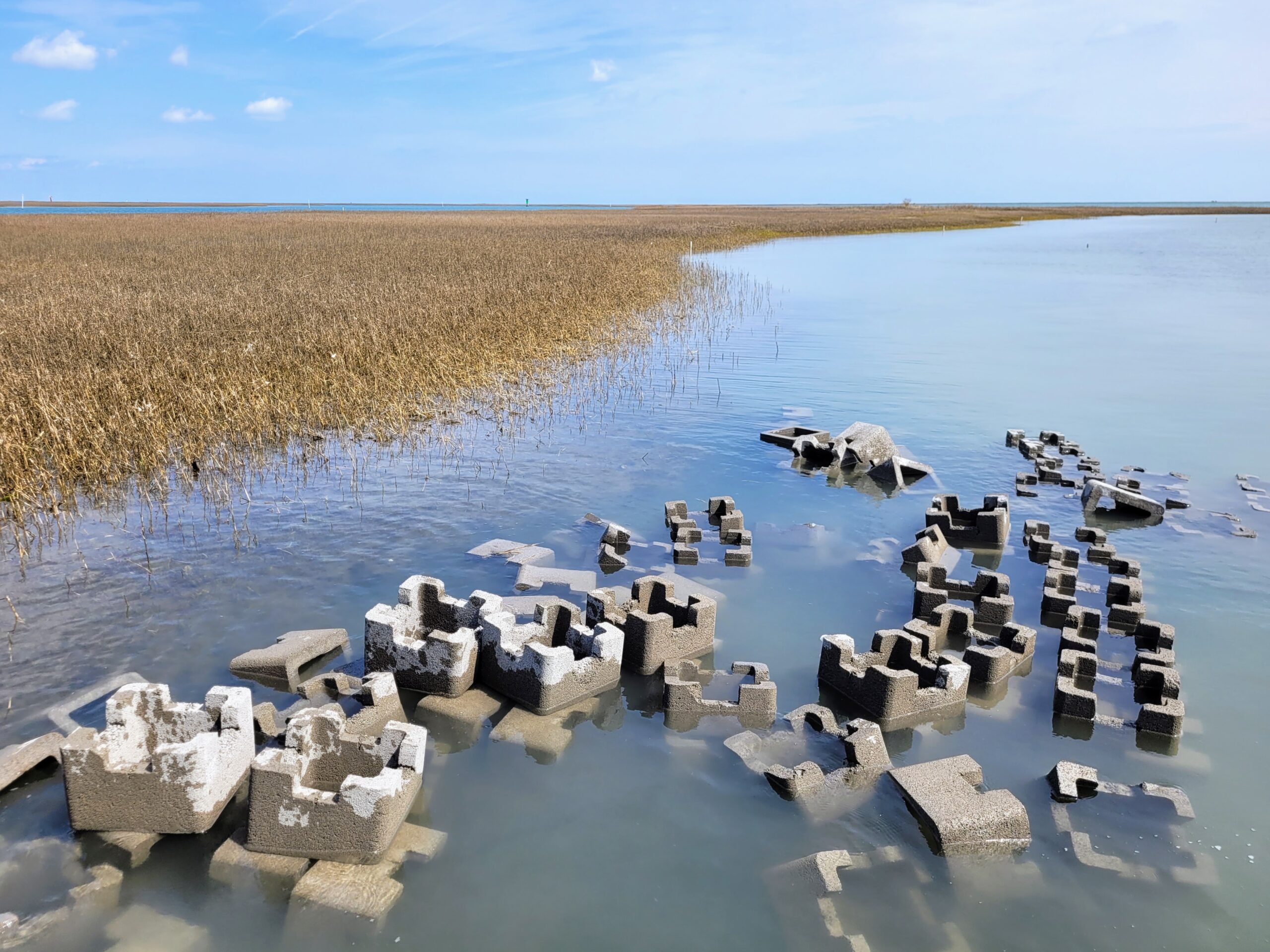 concrete oyster catcher blocks sit in shallow water next to a salt marsh