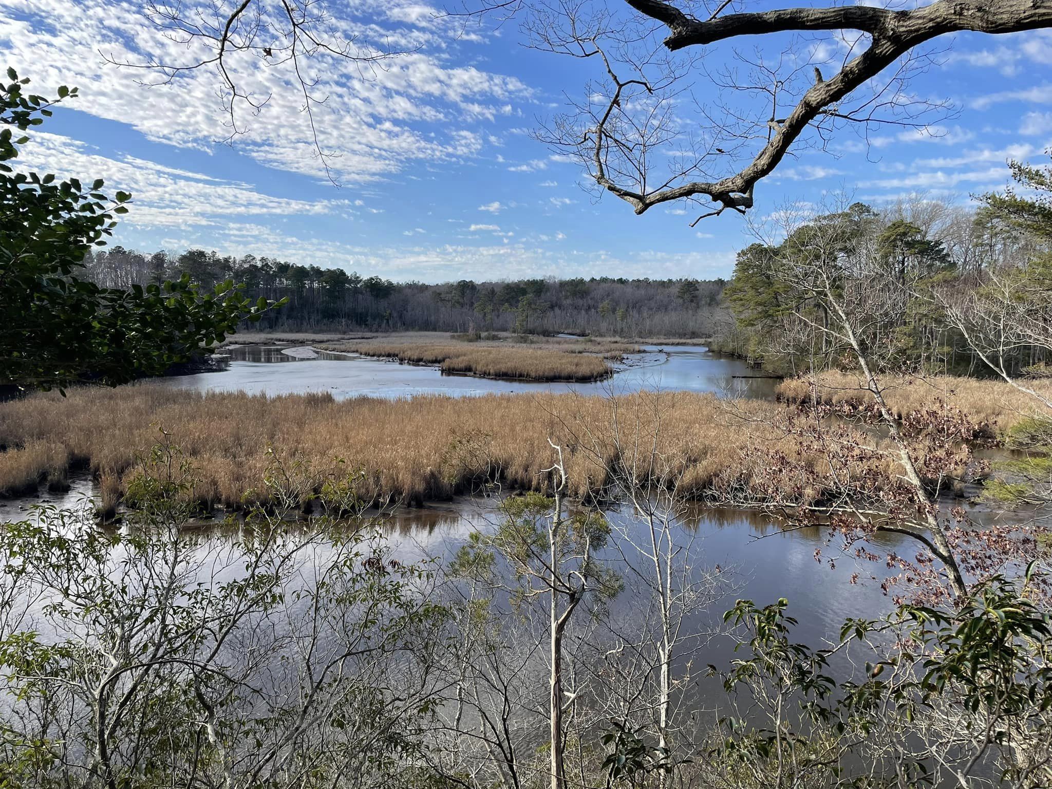 Marsh and waterview from Bush Mill Stream Natural Area Preserve