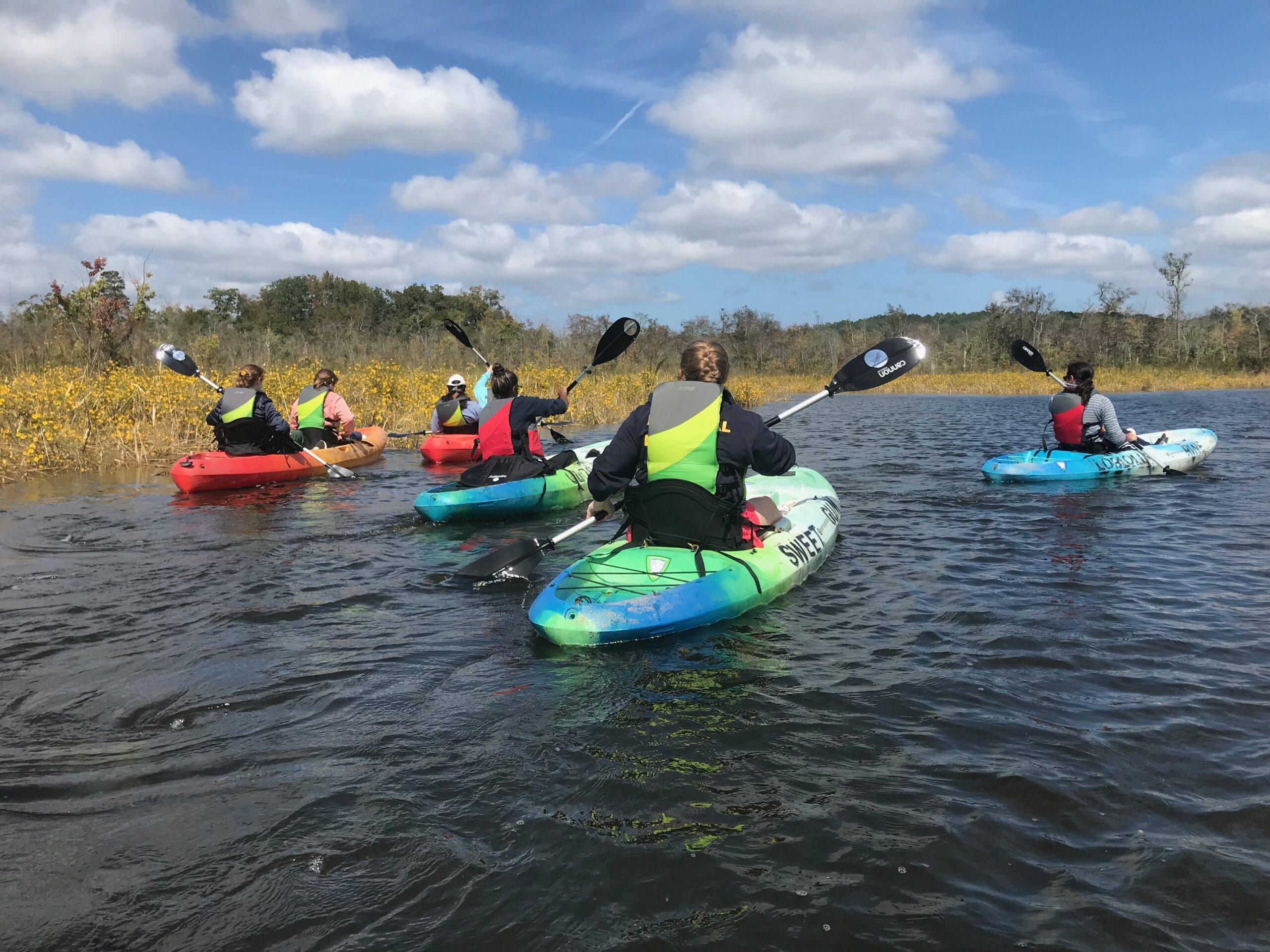 Kayakers on Cat Point Creek