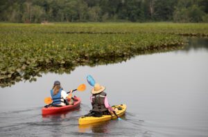 Two kayakers paddling side by side through a calm river lined with marsh and lily pads