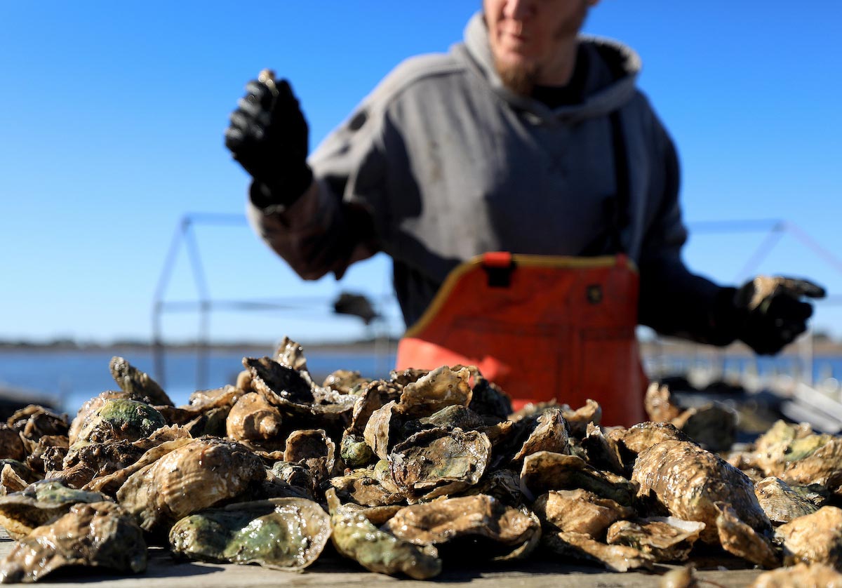 Big Island Aquaculture photo shoot