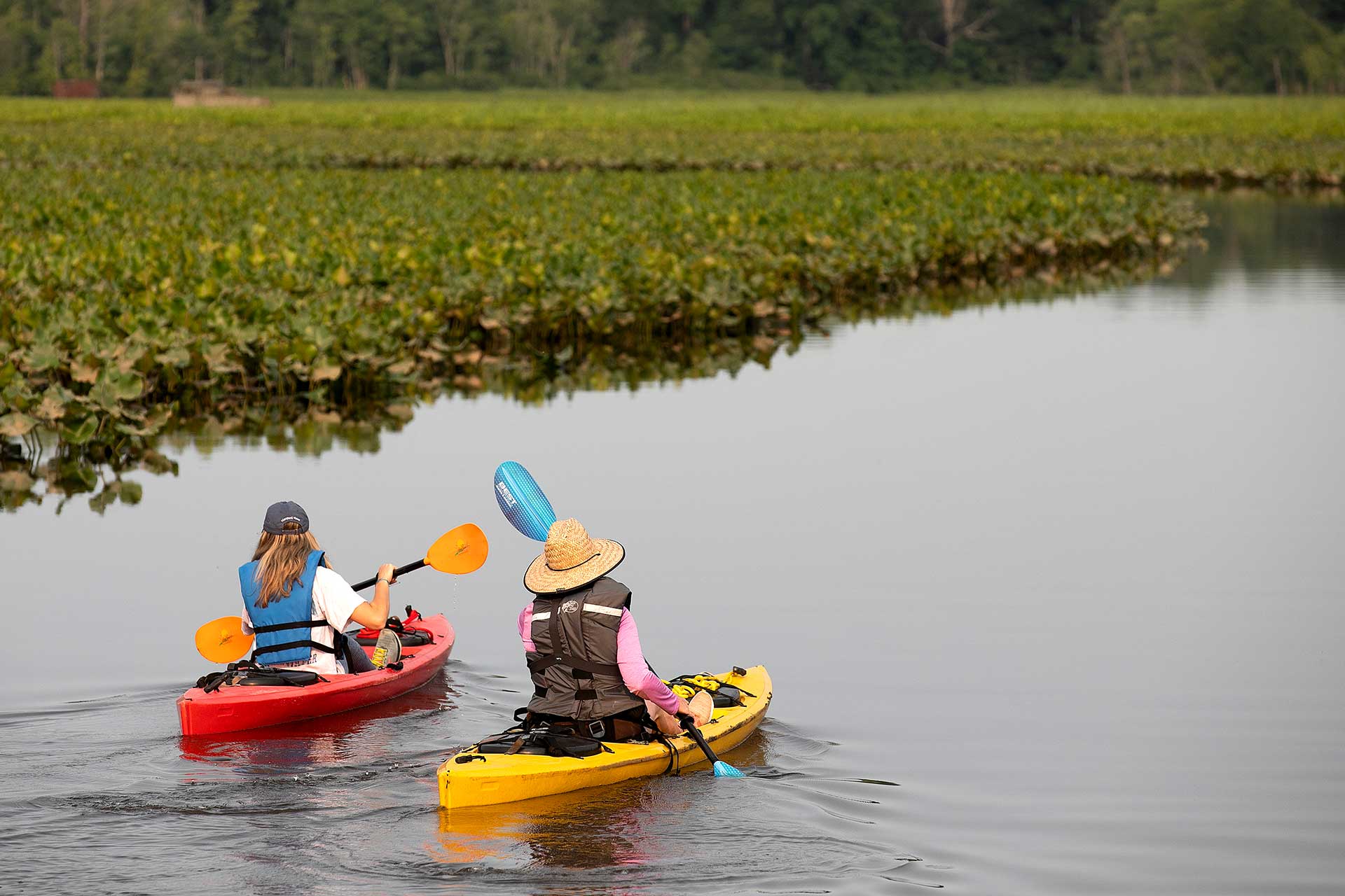 Kayaking on the Mattaponi River near Walkerton, Virginia